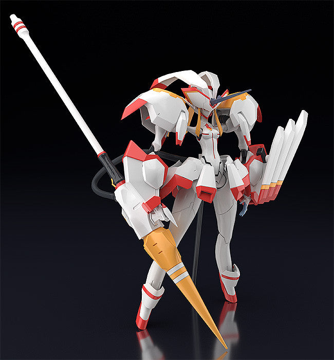 MODEROID Strelitzia